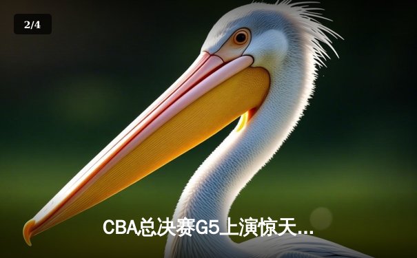 CBA总决赛G5上演惊天逆转 辽宁男篮加时险胜广东夺队史第三冠 - 2