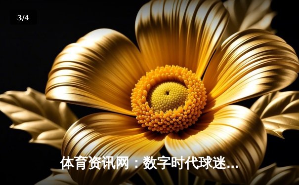 体育资讯网：数字时代球迷的神经中枢与全景观察站 - 3